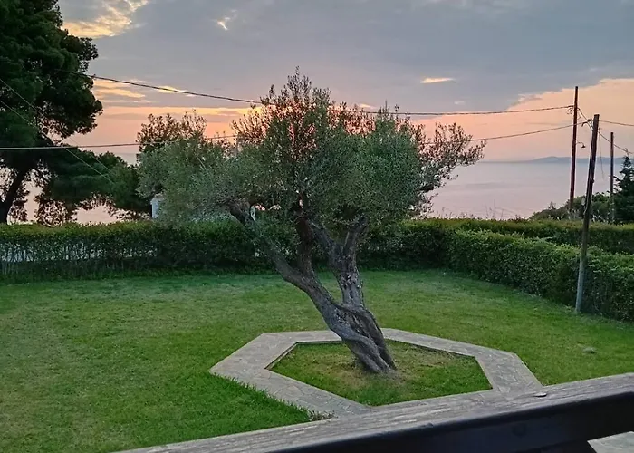 Front Of The Sea *